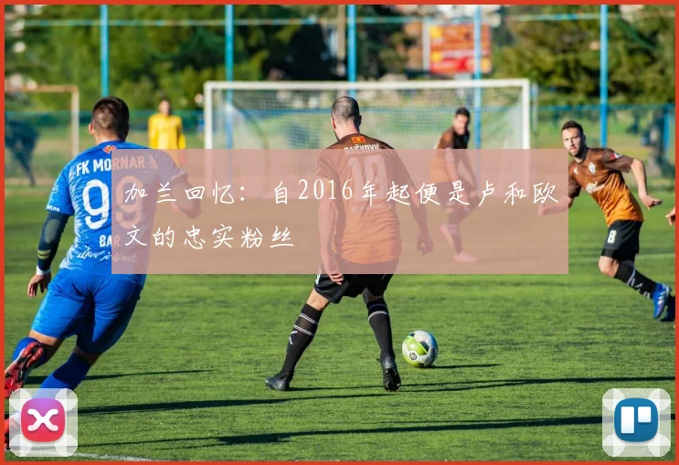 加兰回忆：自2016年起便是卢和欧文的忠实粉丝