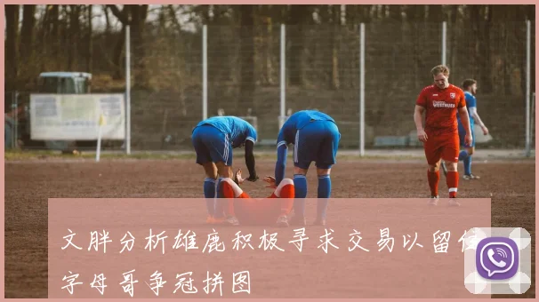 文胖分析雄鹿积极寻求交易以留住字母哥争冠拼图